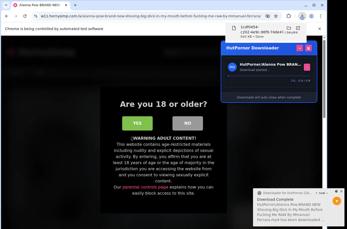 Hutporner Video Downloader screenshot 2