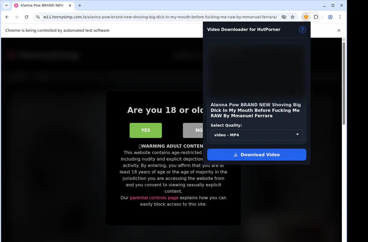 Hutporner Video Downloader screenshot 3