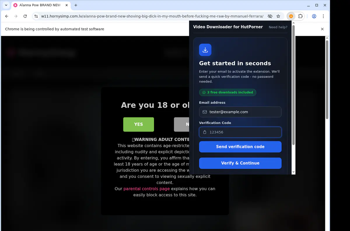 Hutporner Video Downloader screenshot 4